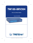TW100-BRV204