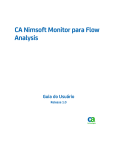 Guia do Usuário do CA Nimsoft Monitor para Flow Analysis