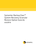 Symantec Backup Exec™ System Recovery Granular Restore