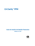 Guia do Usu&aacute;rio de Gest&atilde;o Financeira do CA Clarity PPM