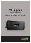 MS-BB300