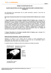 MODELO DE INSTRUÇÃO DE USO EQUIPO DESCARTÁVEL DE