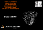 LGW 523 MPI - lombardini service