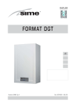 Format DGT -IT