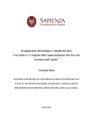 Triangolazione Metodologica e Qualità del Dato - Padis