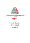 Progetto Esecutivo DPC - RELUIS 2010-2013