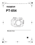 PT-054 - Olympus