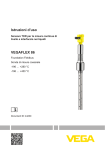 Istruzioni d`uso VEGAFLEX 86