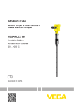 Istruzioni d`uso VEGAFLEX 86