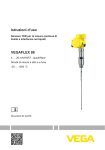 Istruzioni d`uso VEGAFLEX 86