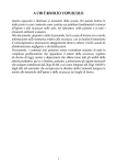 pdf, 280 kb - Ufficio scolastico per la Lombardia