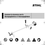 Lavorare in sicurezza con la decespugliatrice e il