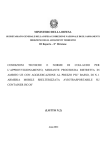 Capitolato tecnico armerie lotto 2