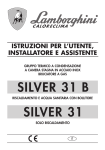 SILVER 31 B SILVER 31