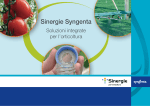 Sinergie Syngenta