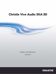 Christie Vive Audio SKA-3D