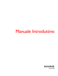 Manuale introduttivo Autocad 2008