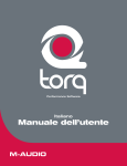 Manuale dell`utente di Torq - M