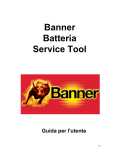 Banner Batteria Service Tool