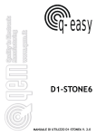 D1-STONE6