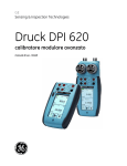 Druck DPI 620