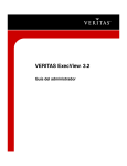 VERITAS ExecView™ 3.2