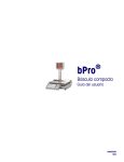 bPro Counter Scale_