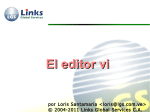 045 – vi - Links Global Services