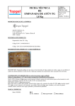 FICHA T&Eacute;CNICA DE EMPANADA DE AT&Uacute;N TG 1