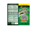 WASP & HORNET KILLER3 - Accurate Pest Control