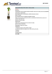 BUEN SUE&Ntilde;O ESENCIA PINO MENTA TOMILLO 250ML Disponible