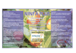 NINFA PLUS 1l.cdr