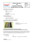 FICHA TÉCNICA DE PASTEL SURTIDO