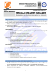 ficha t&eacute;cnica del producto