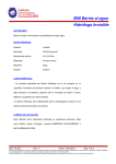 (B08 Barniz al agua Hidr&oacute;fugo Invisible)