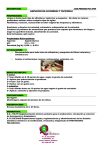 Descargar Ficha T&eacute;cnica