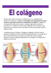 Aunque sobre todo conocemos el colágeno por ser un ingrediente