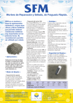 Mise en page 1