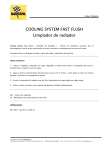 COOLING SYSTEM FAST FLUSH Limpiador de