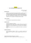 AMBAR - guica, s.a.