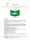 Ficha T&eacute;cnica del Producto