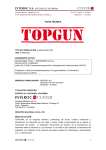 Bajar Archivo Ficha T&eacute;cnica Top Gun