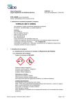 Hoja de Seguridad