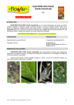 FICHA T&Eacute;CNICA OLEOTION DUO PACK Aceite Insecticida