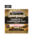 TERMITE & CARPENTER ANT