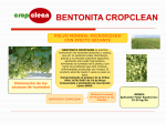 BENTONITA CROPCLEAN