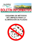 esquema de m&eacute;todos de limpieza para la eliminaci&oacute;n de plagas