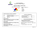 Hoja de Seguridad Jabón Lavaplatos