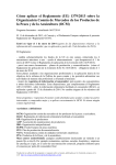 Documento con la traducción no oficial