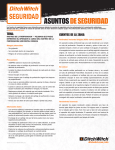 asuntos de seguridad
